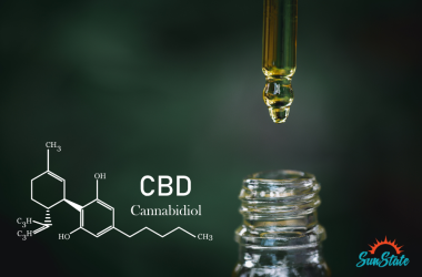 cannabidiol tinctures