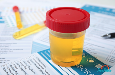 can dot drug test detect synthetic urine