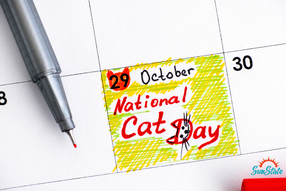 Celebrate National Cat Day Honor, Adopt, and Love Your Feline