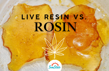 live resin vs rosin